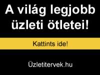Üzletitervek.hu - Hogy ez miért nem nekem jutott eszembe?